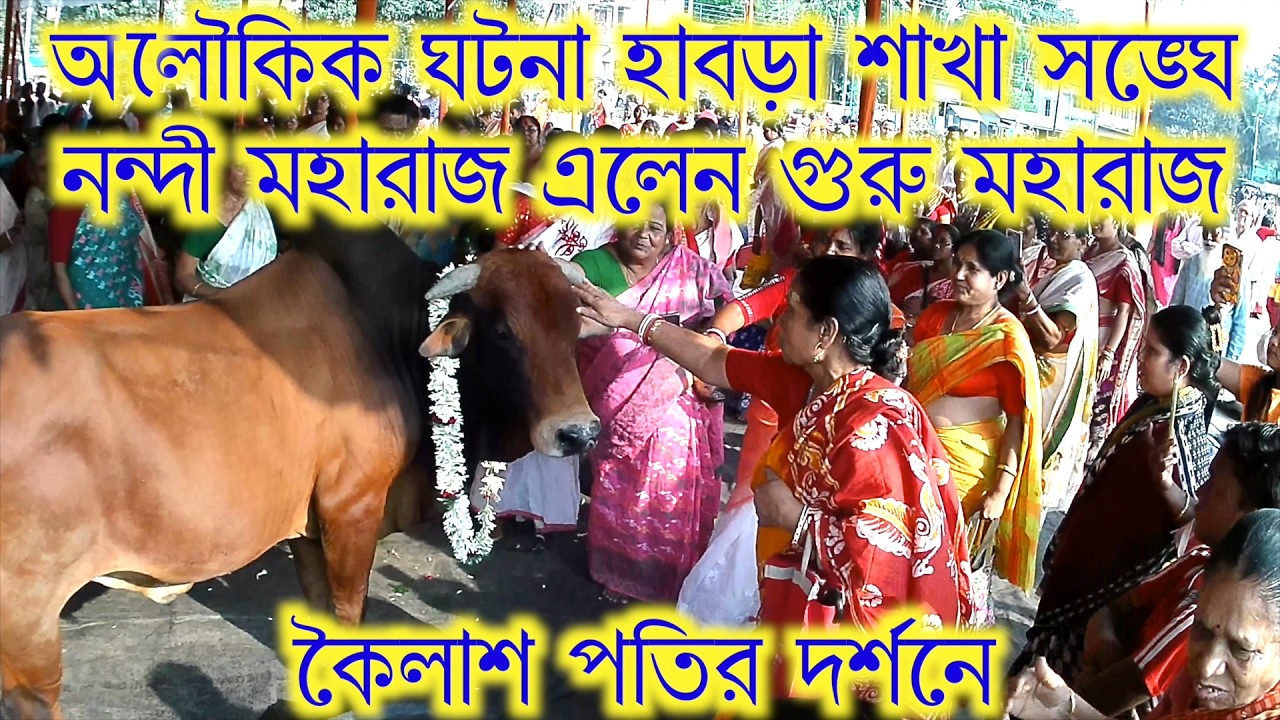 Habra sakhasangha milan utsab aloukik ghatana nandi maharaj