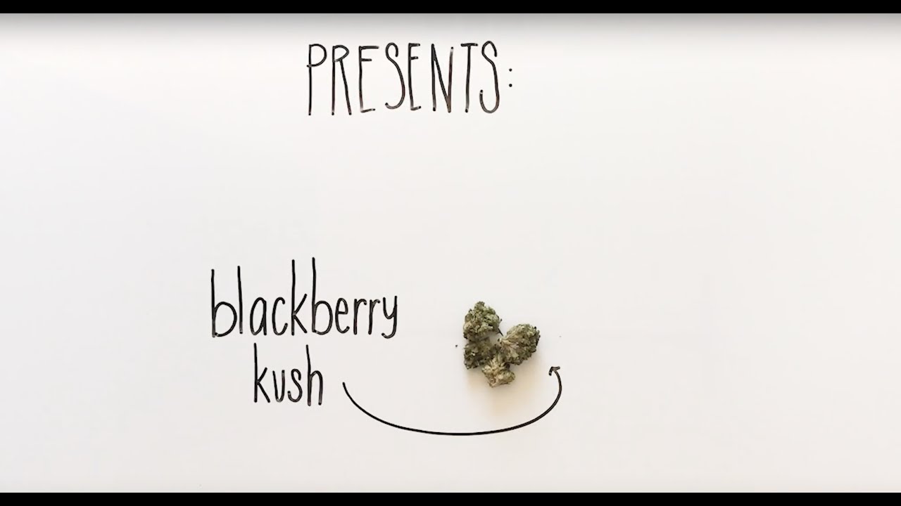 BlackBerry Kush Strain Review