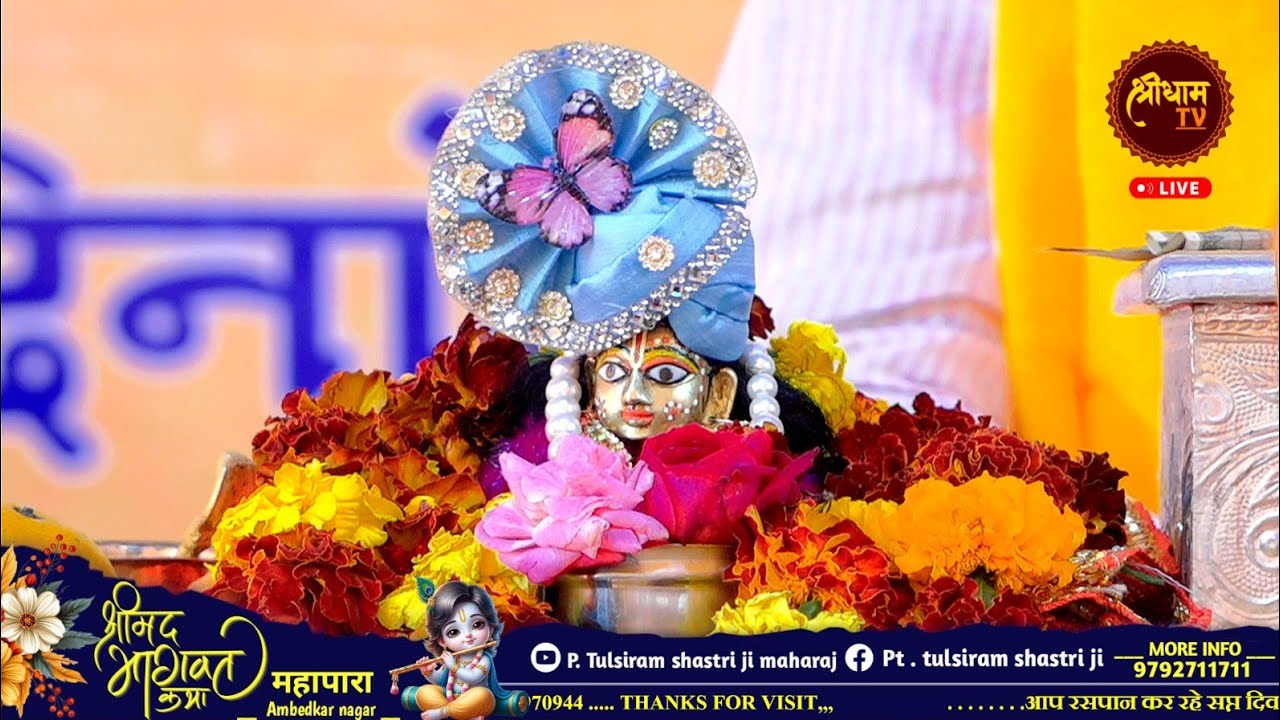 #LiveBhajans/Sandeep Mishra bhajan Official LiveStream/#bhagwatkatha#viralvideo #livestream