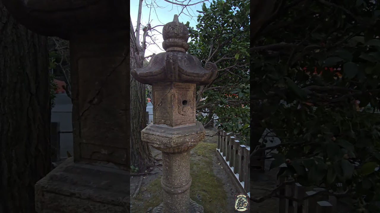 Discover the BEST of Sankeien Garden Yokohama! #shorts