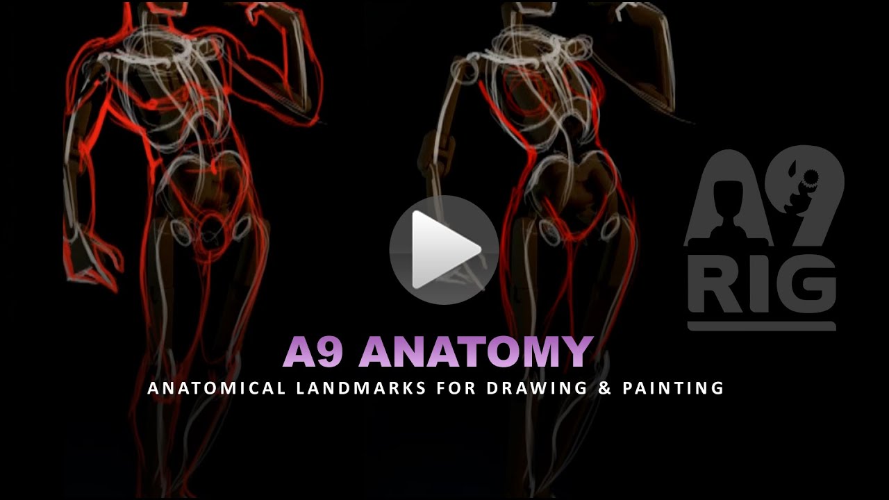 A9RIG - Anatomical Landmarks