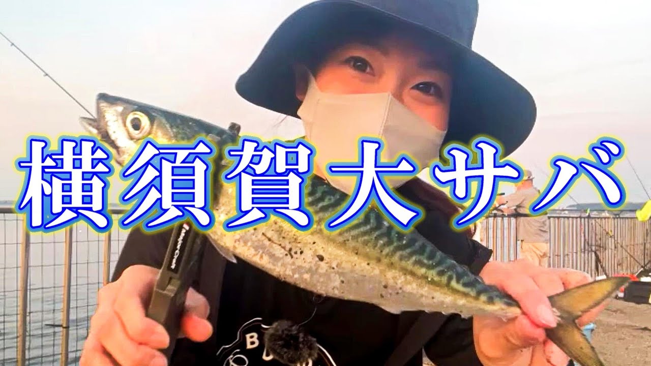 【横須賀】カゴ釣りで大サバを釣りたい！