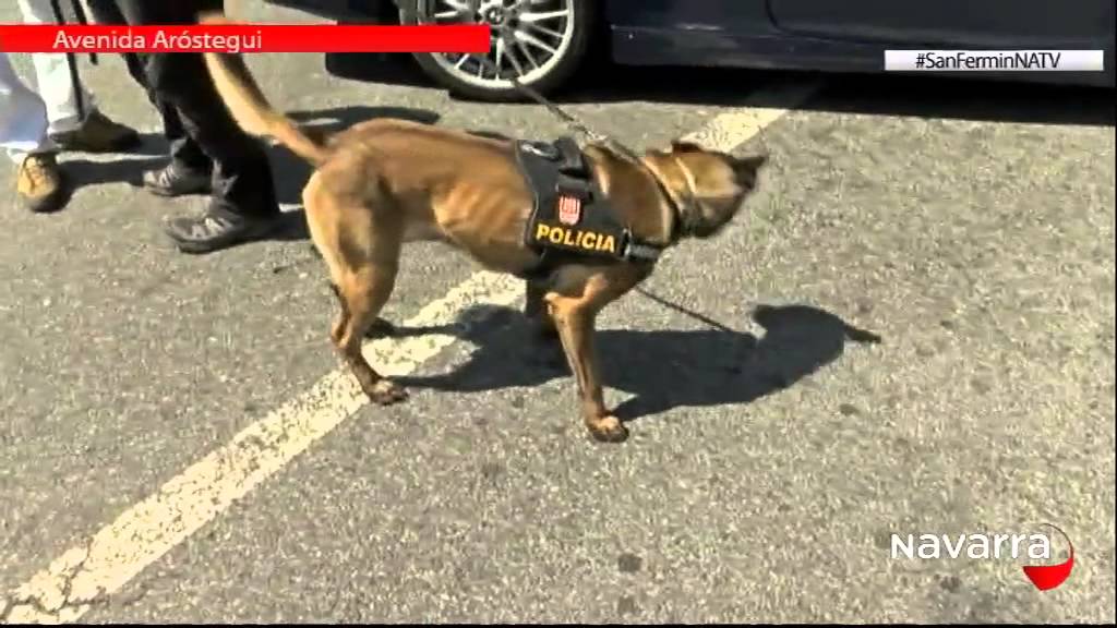 Control de drogas Policía Foral 12 julio 2015 - San Fermín
