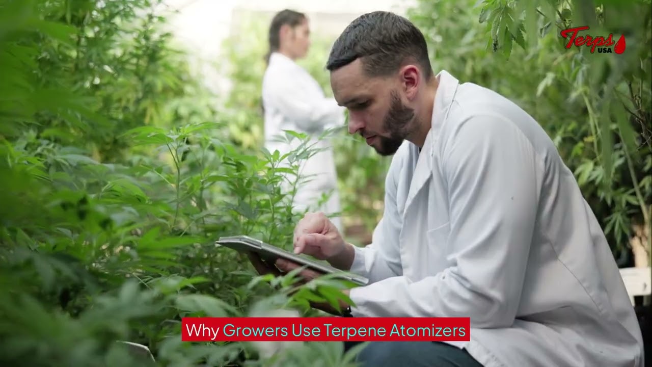 What Is a Terpene Atomizer? &ndash; Terps USA&reg;
