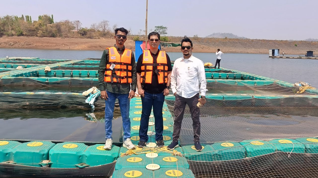 A Day With FeedWale | फीडवाले के साथ एक दिन