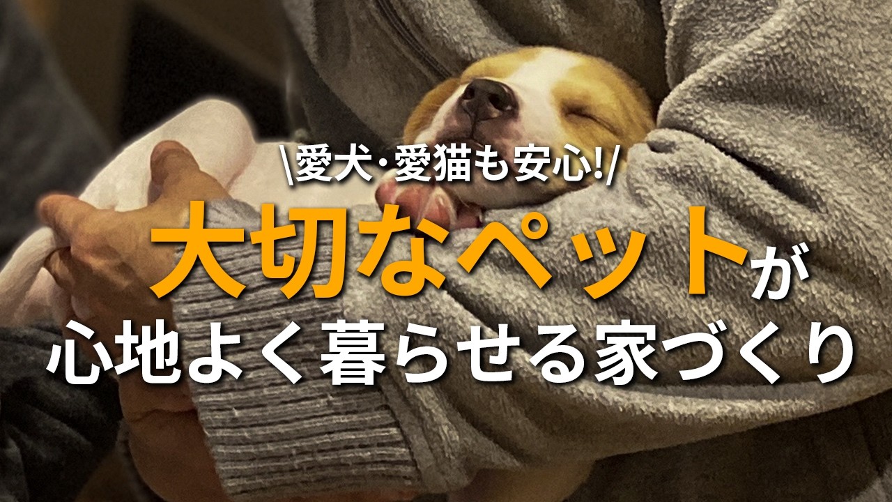 【注文住宅】高性能住宅で実現！ペットと快適に暮らす家づくりの工夫を解説します！