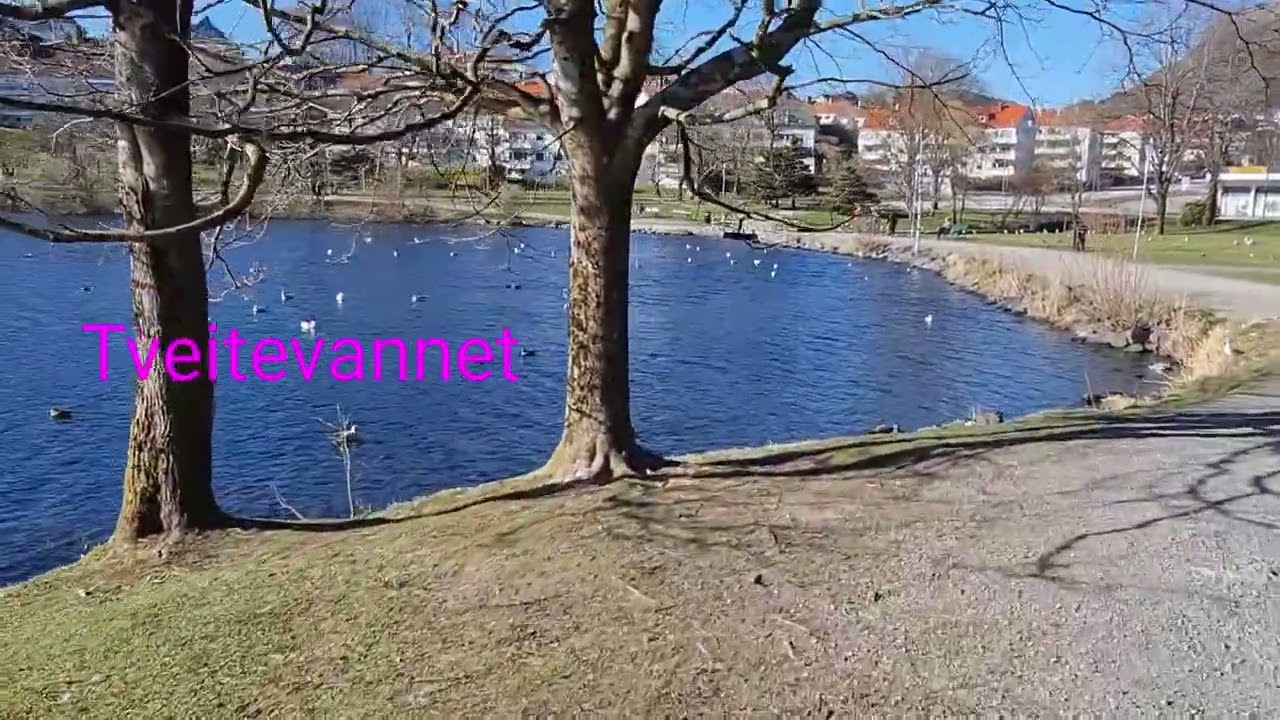 WALKING at Tveitevannet in Bergen Norway APRIL 2022