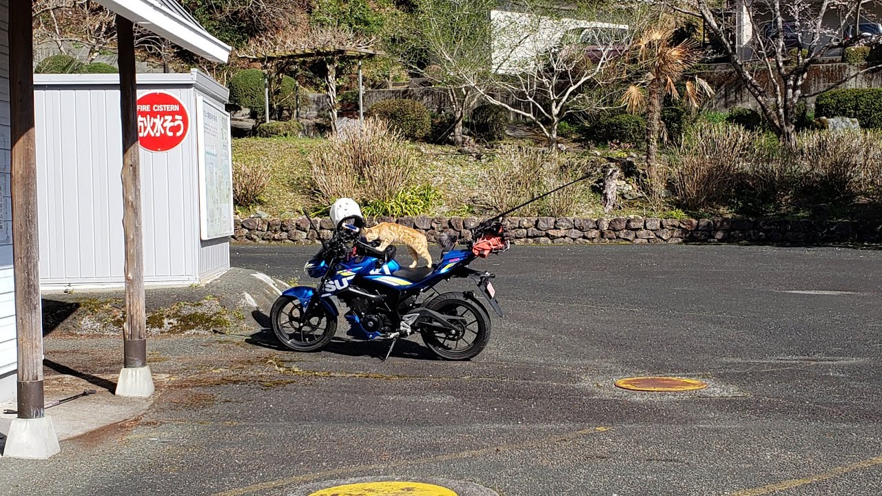 【良いバイクですよ！】 峠、細道、悪路、ダートも！オールラウンダーGSX-S125 コスパもいいですね❕大豊町辺りツーリング