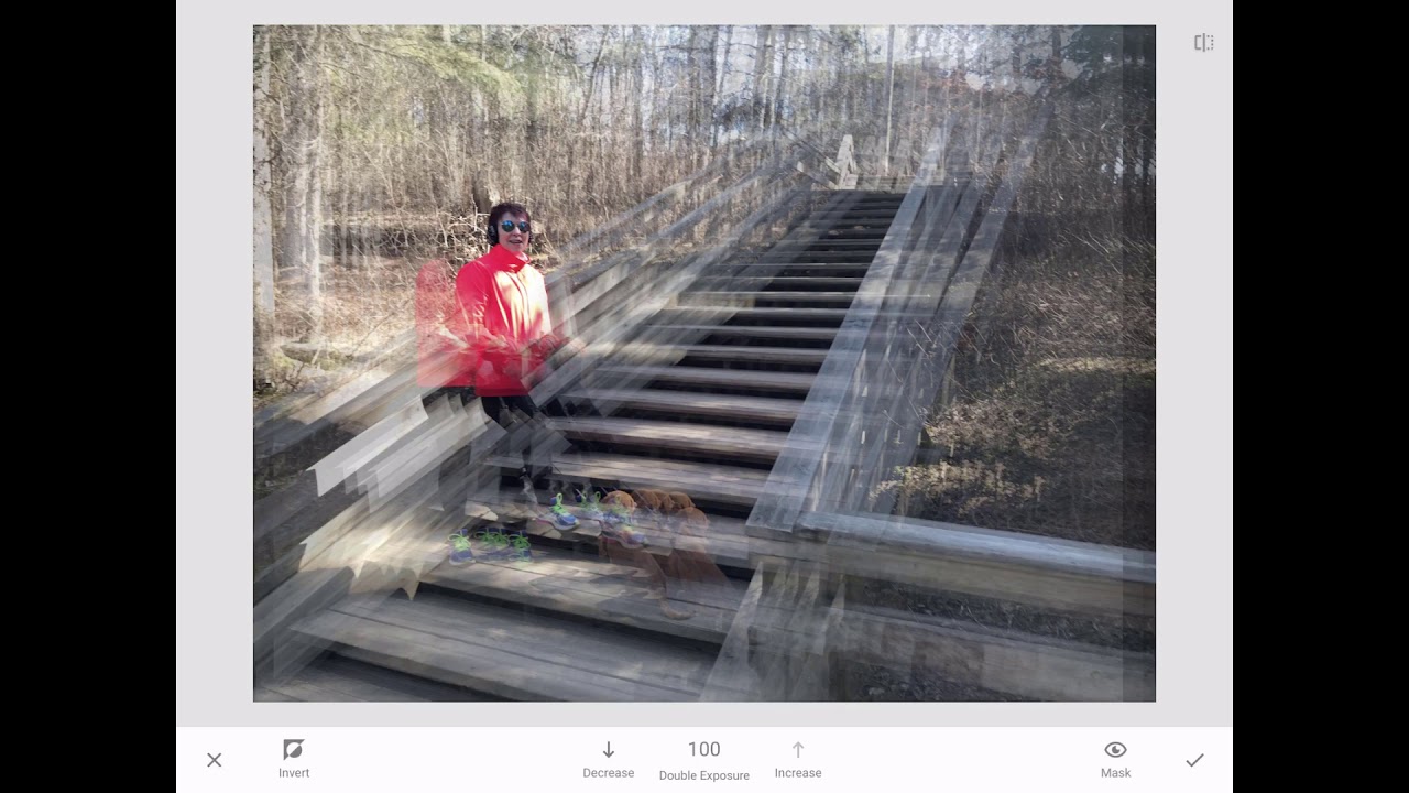 Snapseed - Blend mode and Image Style
