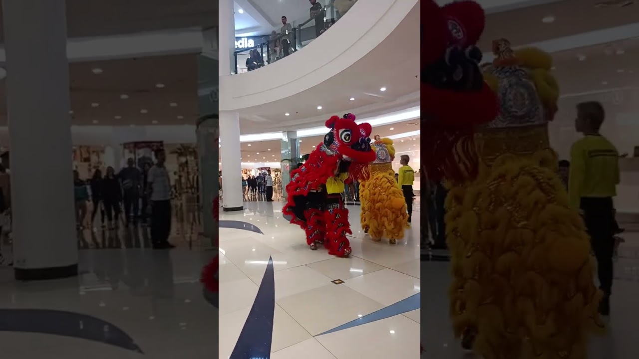 Aksi barongsai yang seru dan menarik #barongsai #mallu #barongsaiimlek #newyear 
