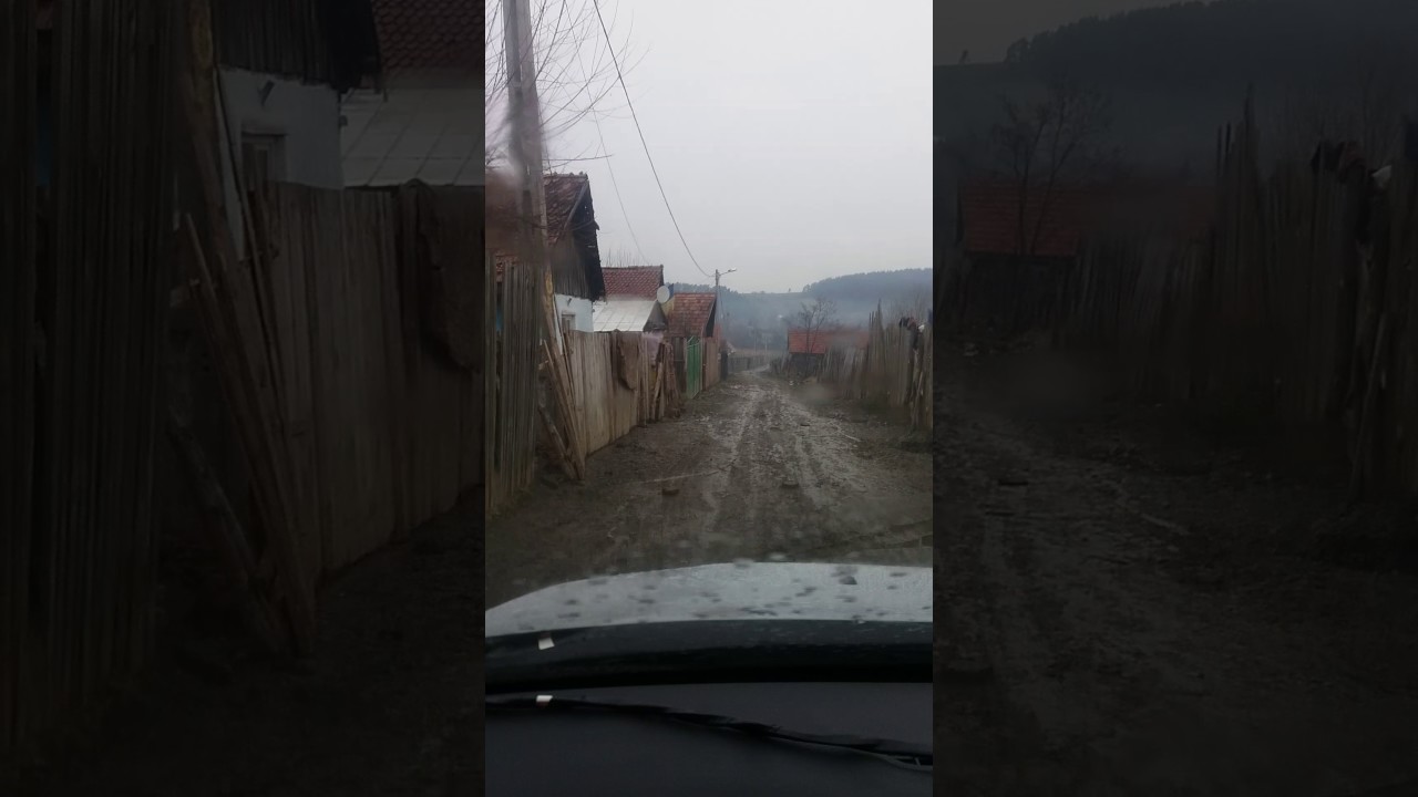 Primaria comunei teliu