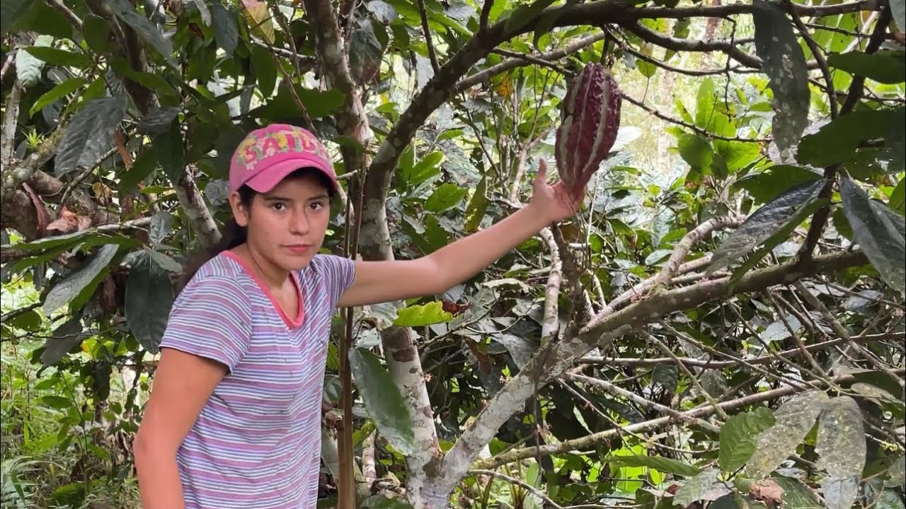 Miren como quedó nuestra finca luego de que la abandonamos por un tiempo ~Saida ZC~ 💚