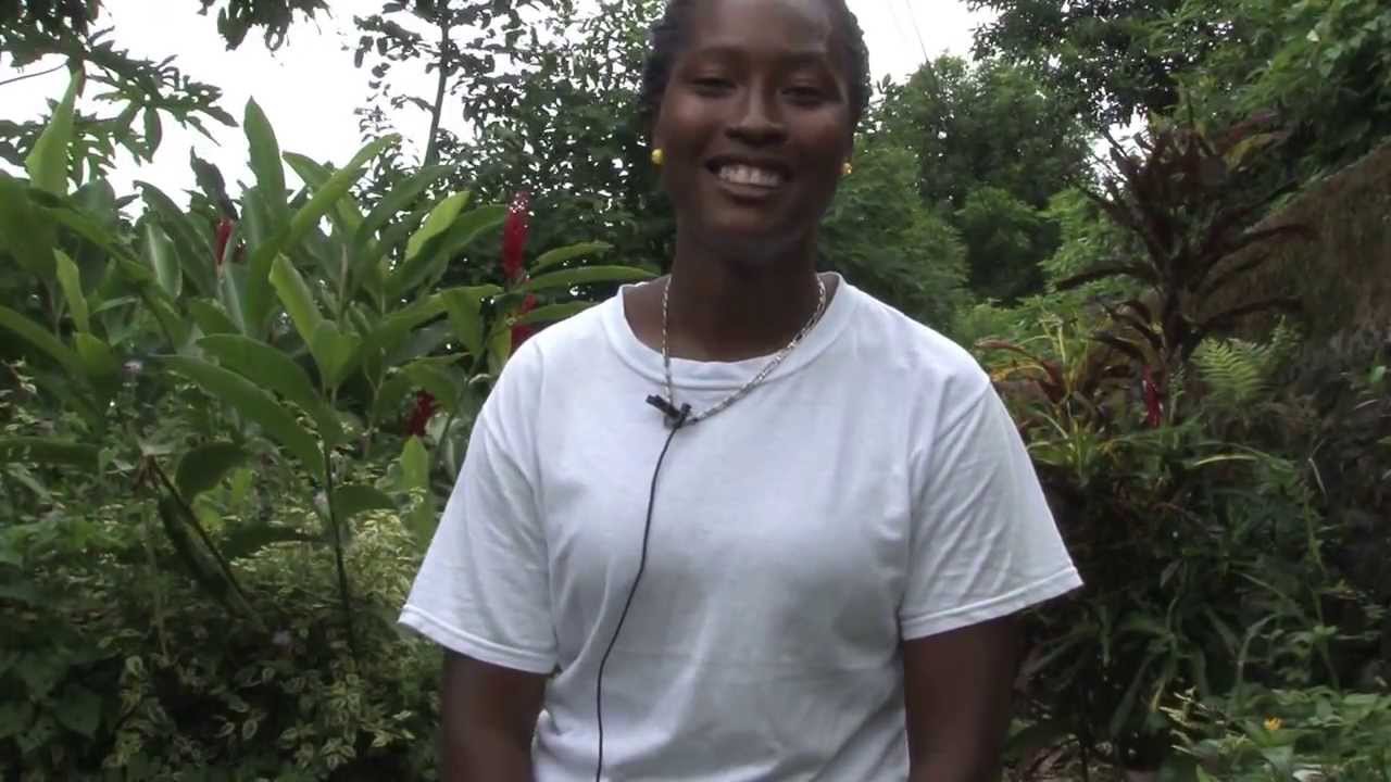 Smallhold farmers in Grenada look to a brighter future