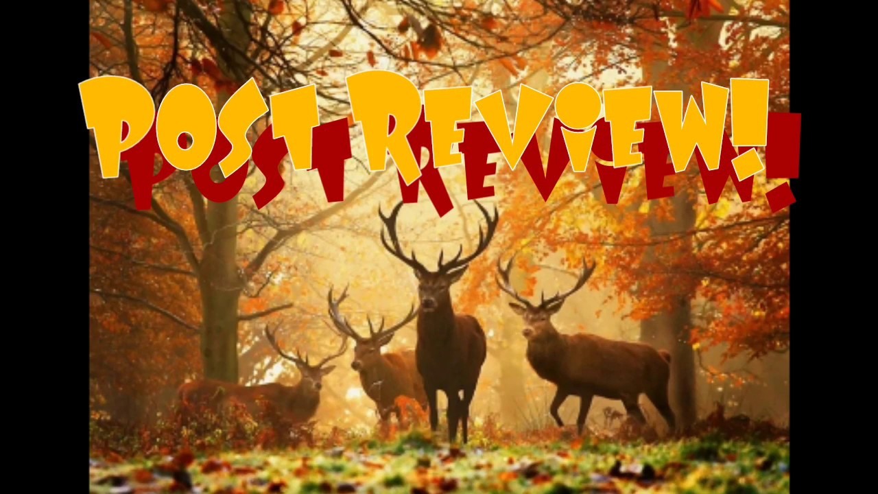 Drillmageddon - POST REVIEW - Deep Forest Deer Diamond Painting