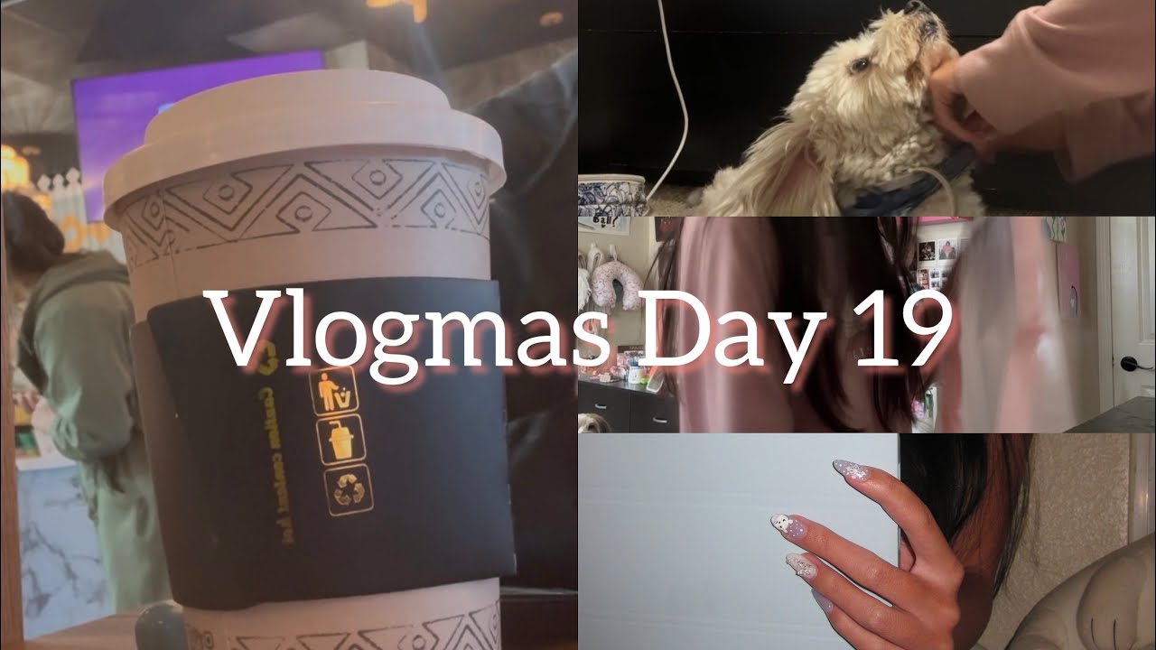 Vlogmas Day 19: Chores, Errands, & More 
