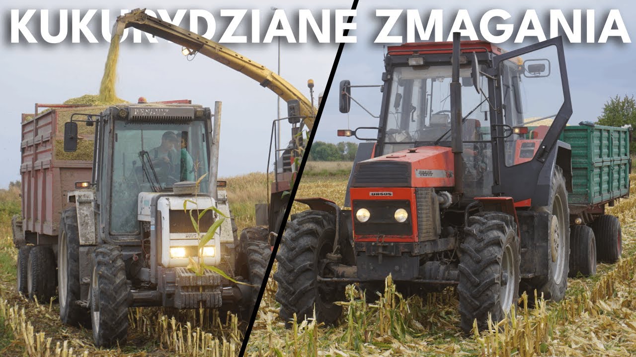 🔥KUKURYDZIANE ZMAGANIA🔥 Kukurydza na kiszonkę oraz na ziarno w GR Miętne | Agro Garwolin