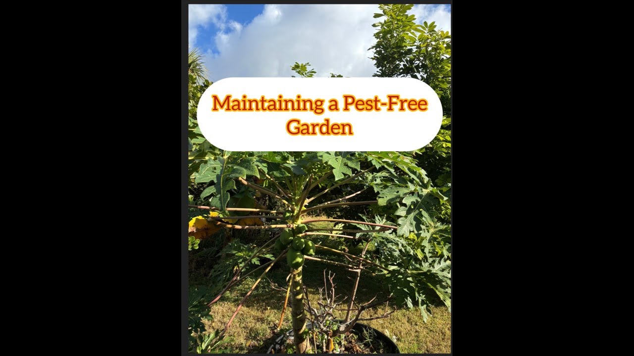 How to Maintain a Pest- Free Garden 02/17/26