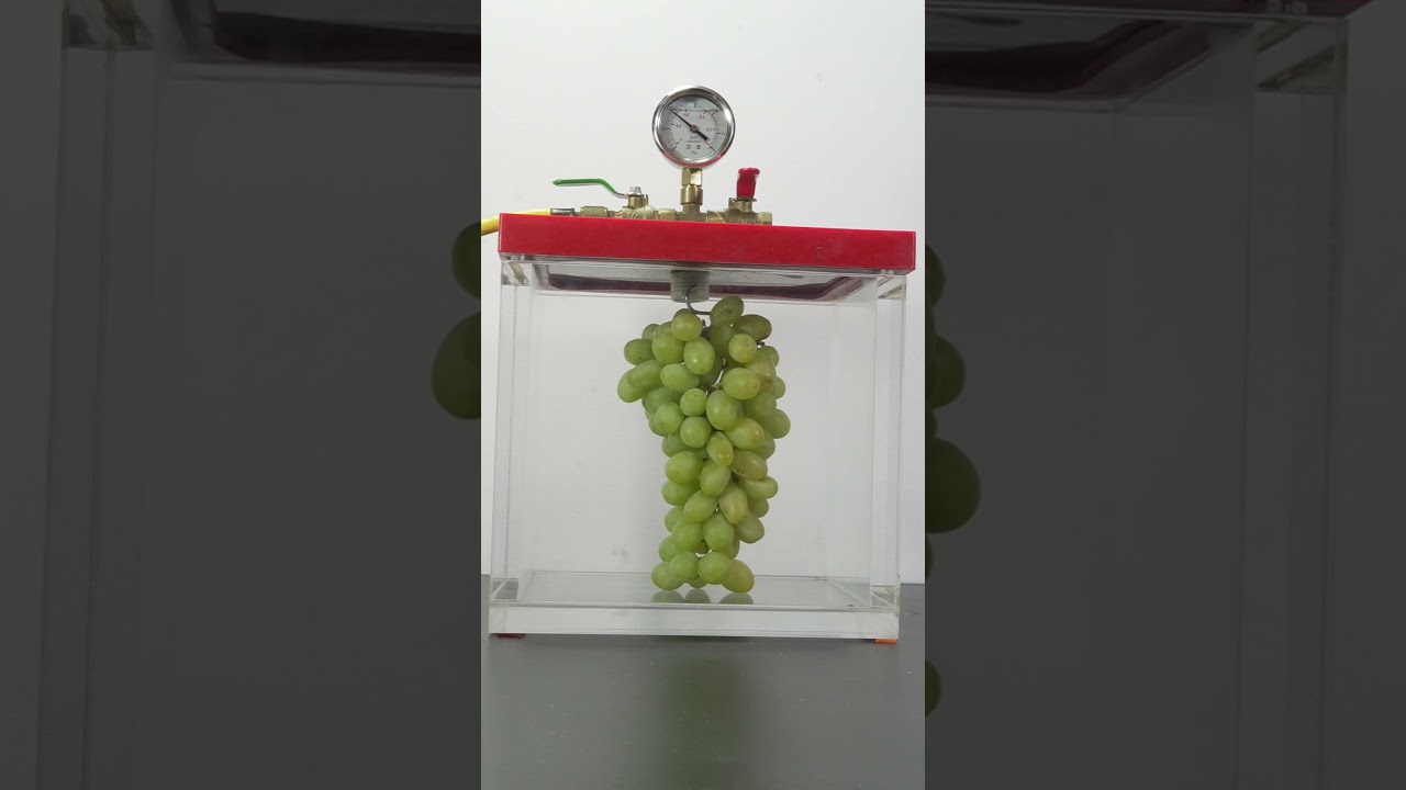 vacuum vs grapes