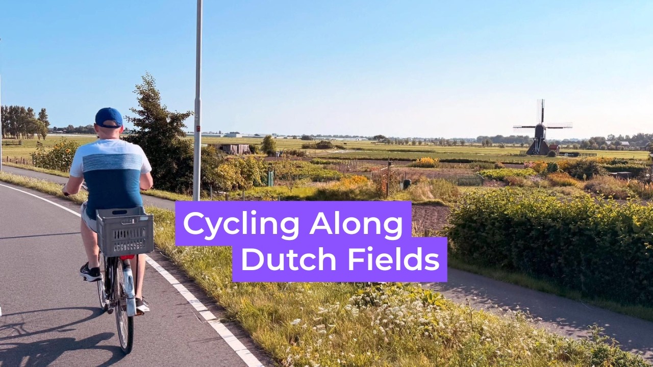 Scenic Bike Ride Through Teylingen | LoFiets Beats | Dutch POV Cycling