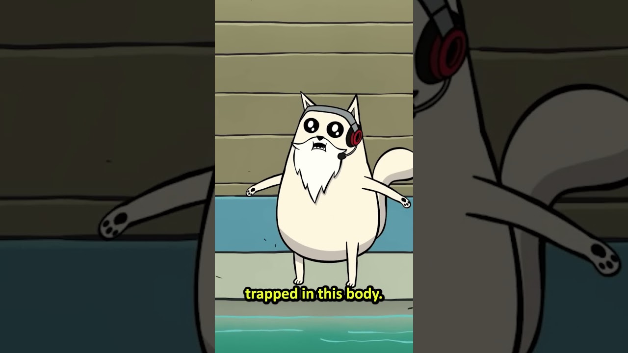 Exploding Kittens: Good Vs Evil a new version of everyone's favourite card game & now a Netflix show