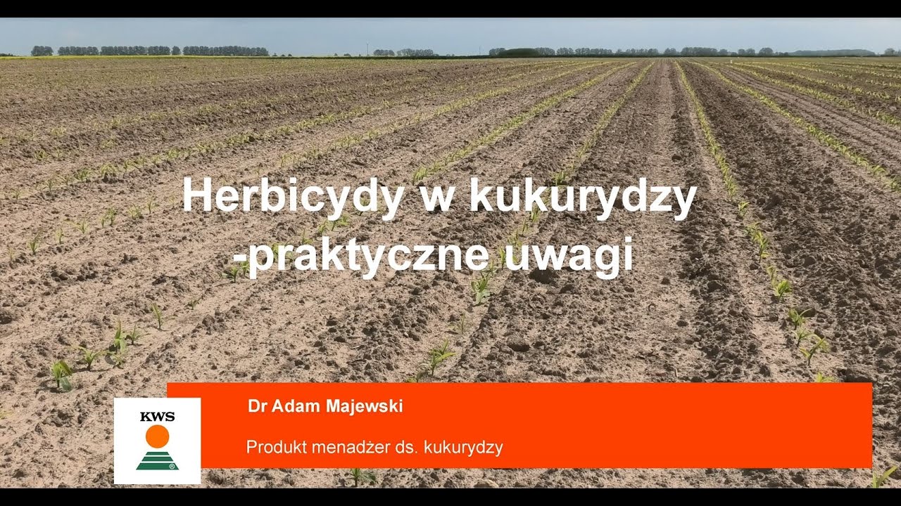 Herbicydy praktyczne zalecenia.