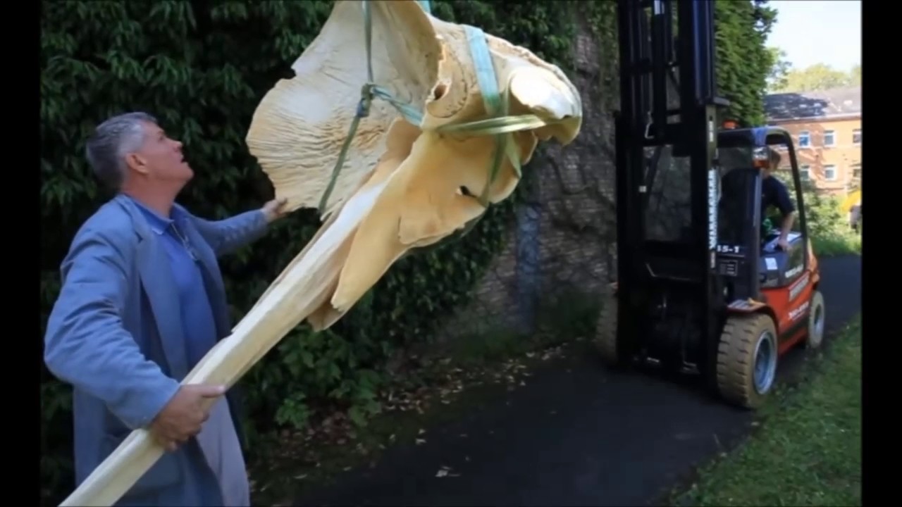 Der Gie&szlig;ener Pottwal zieht um