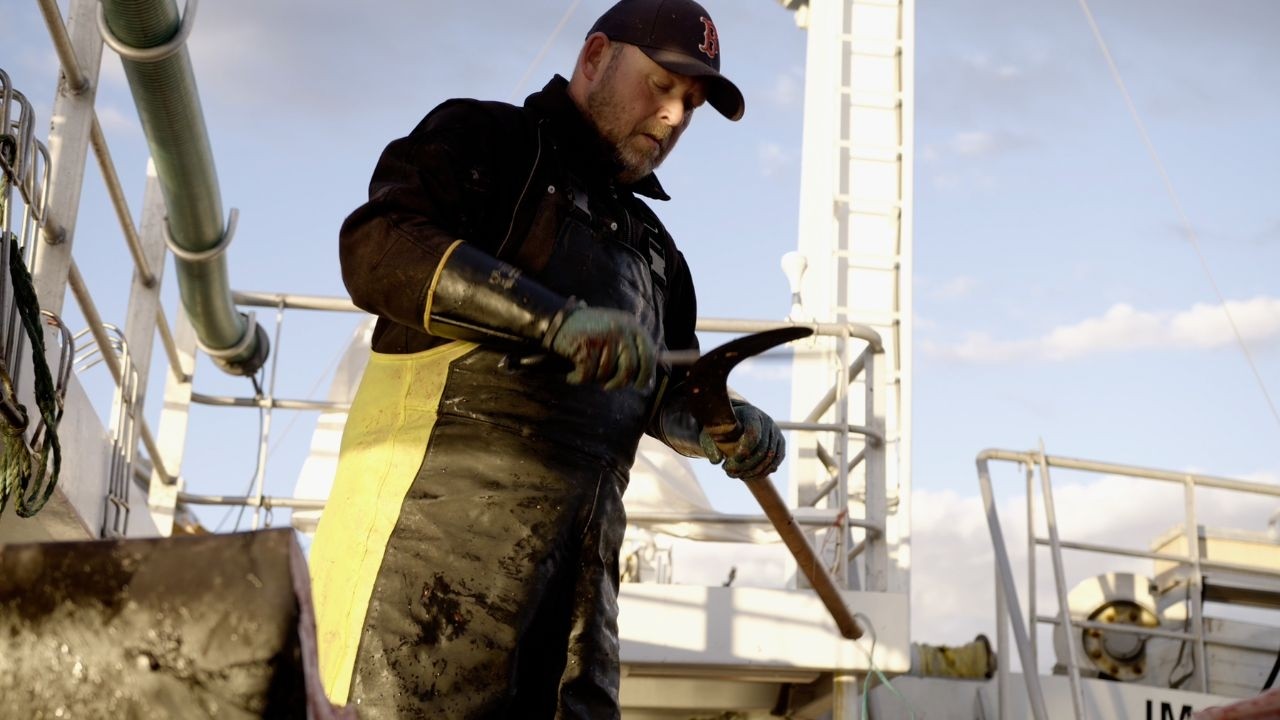 Why Norway Must Stop Hunting Whales