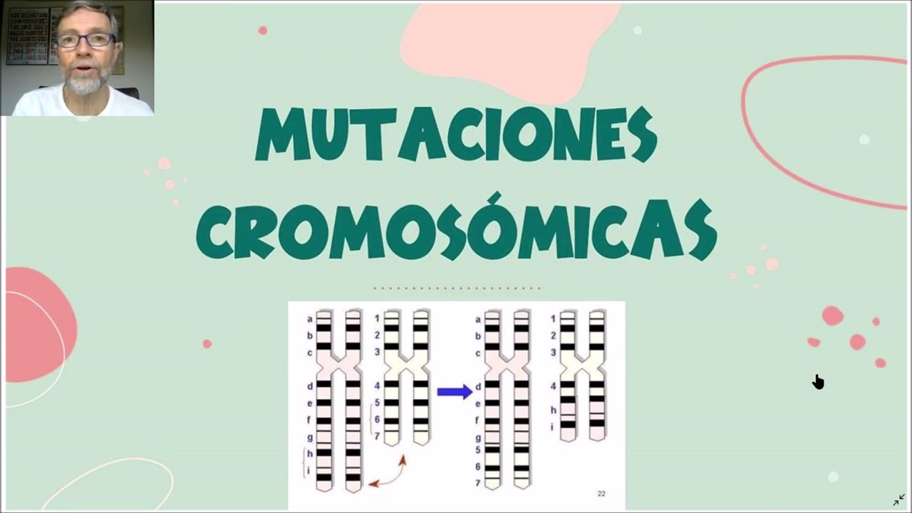 Mutaciones  Tipos y ejemplos V66
