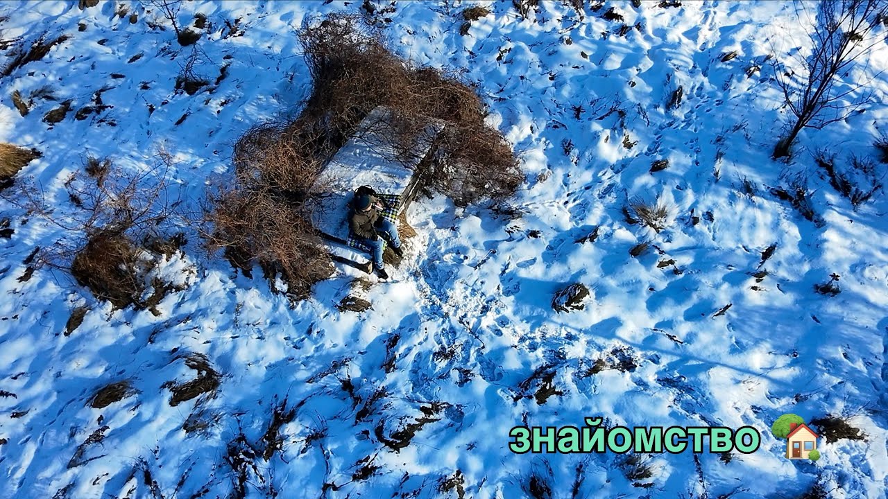 Купив земельну ділянку | комунікації та несподіванки у лісі 🌲 