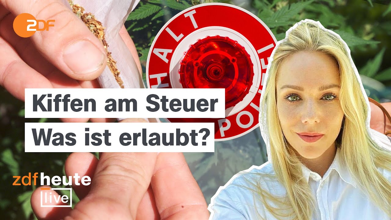 Kiffen am Steuer - Was plant die Bundesregierung? | Strafverteidigerin Dr. Diebel bei ZDFheute live