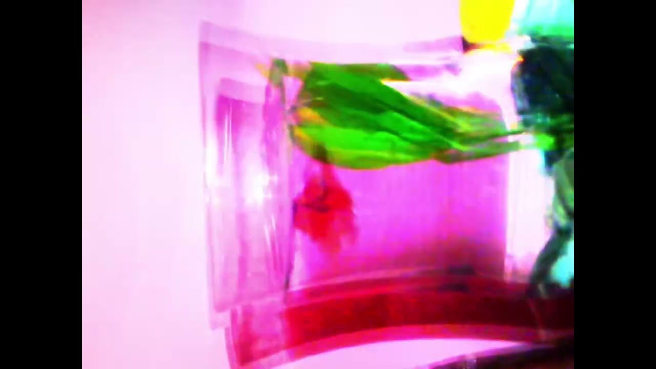 Letter To Venus - Patina Wang (Official Video)