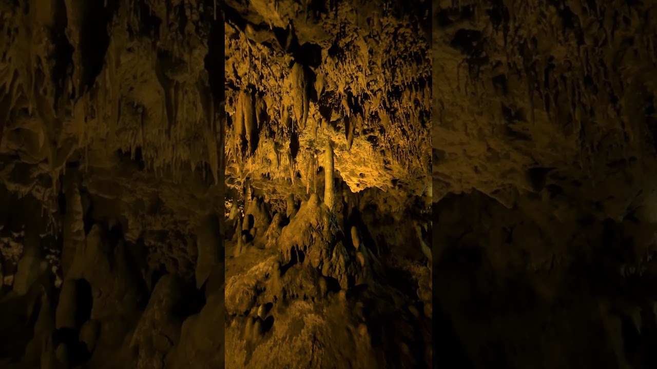 Florida Caverns state park 2025. 9/10 rate from the 5 kids 