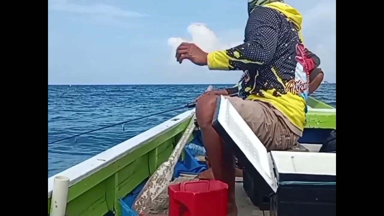 Udang sakti bikin ikan kakap merah klepek-klepek