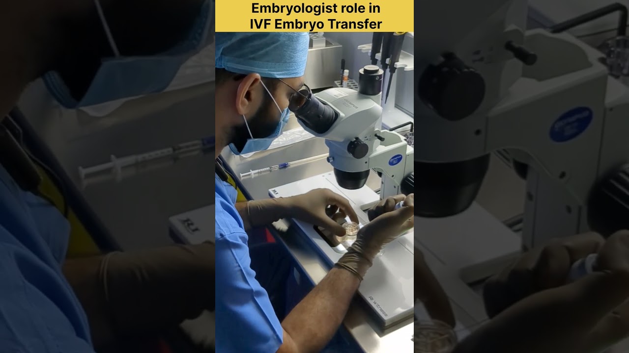 Embryologist role in IVF Embryo Transfer  #ivf #ivfjourney #ivfsuccess #indiraivf #ivfcenter