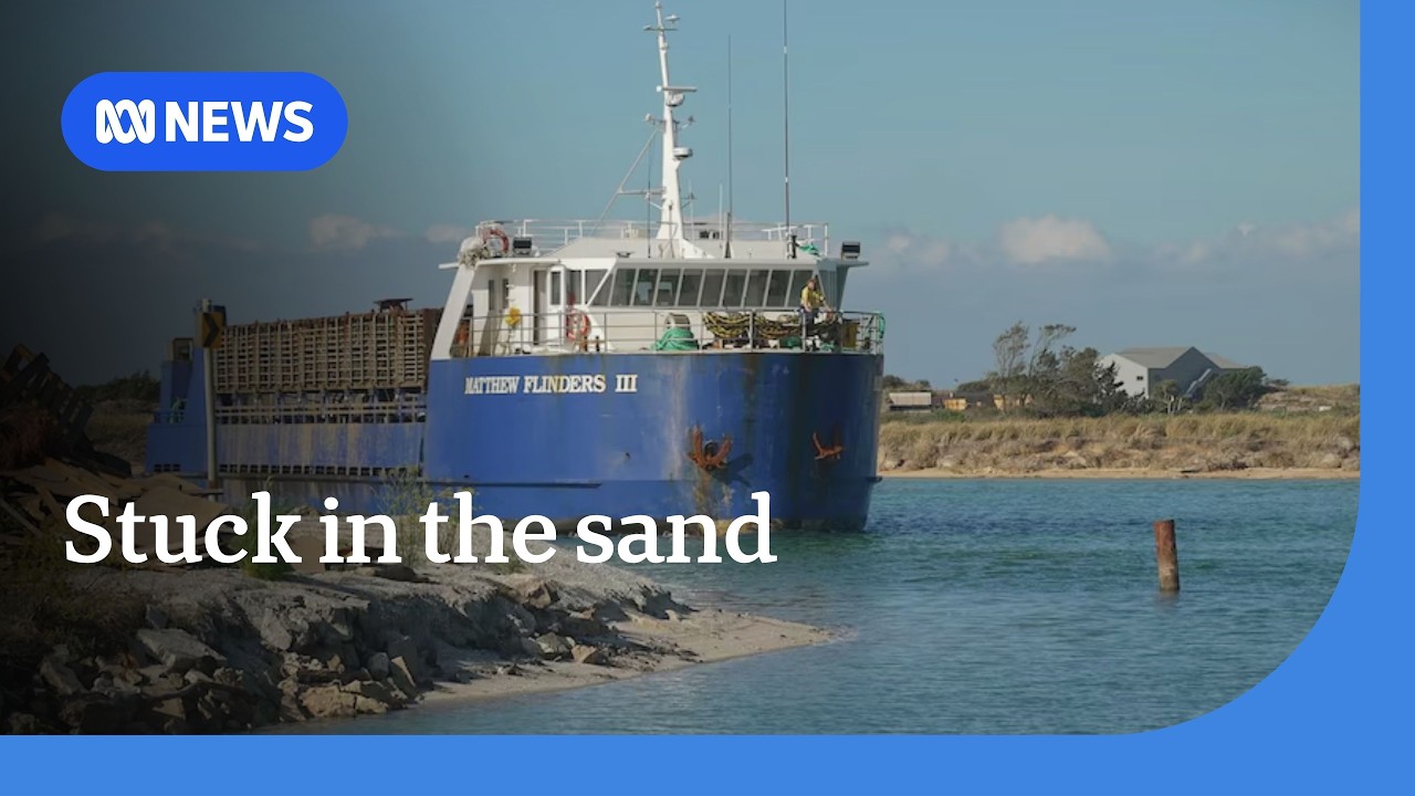 Shipping boss sick of getting stuck in the sand | ABC News