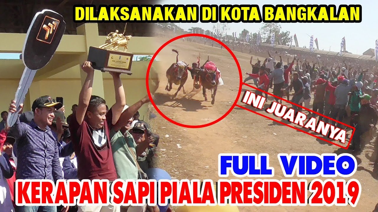 Kerapan Sapi Piala Presiden 2019 Full Video