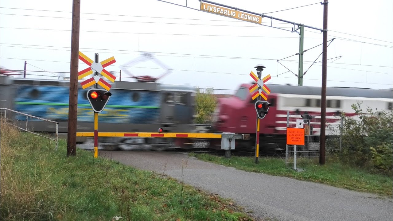 Godståg vid Mörrums tågstation: Höst på spåren Del 7
