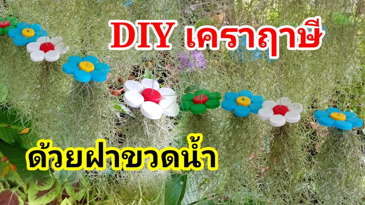 วิธี DIY เคราฤาษีให้สวย ด้วยฝาขวดน้ำพลาสติก  ที่ไม่ใช้แล้ว #เคราฤาษี #spanish moss