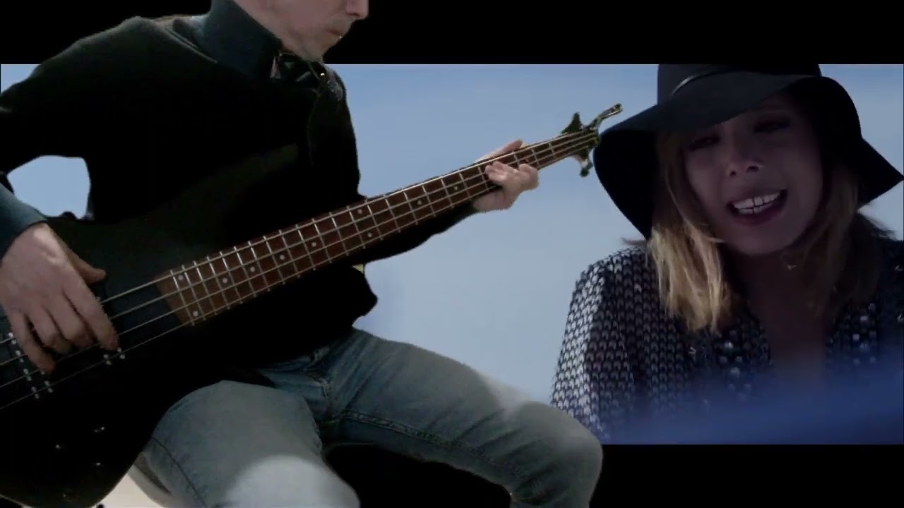 cats on trees - sirens call (bass cover)