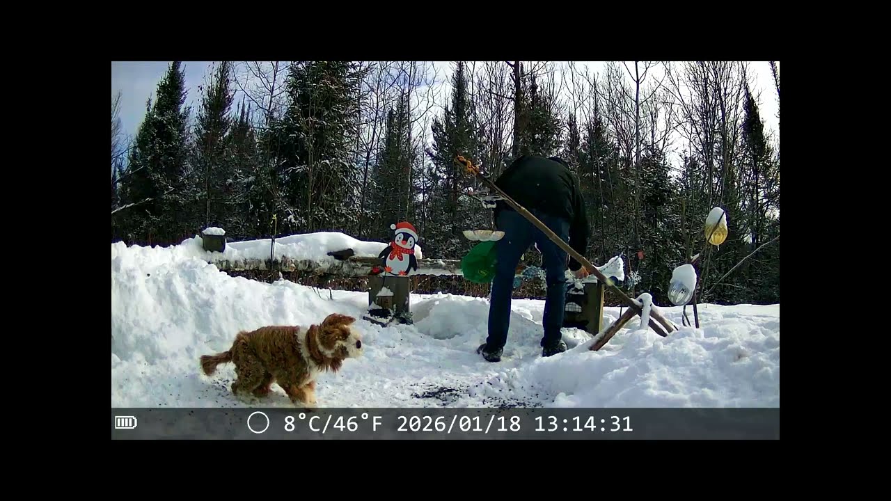 Trail cam