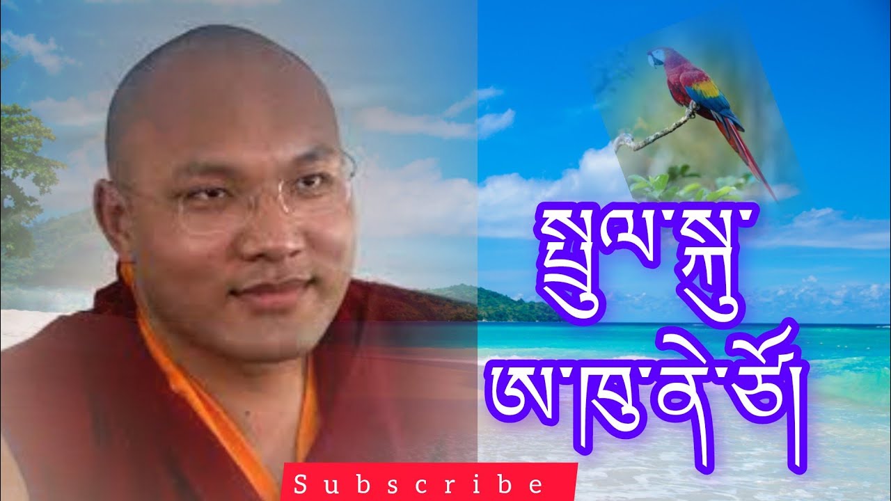 སྤྲུལ་སྐུ་ཨ་ཁུ་ནེ་ཙོ། tulku parrot uncle @buddhistG 