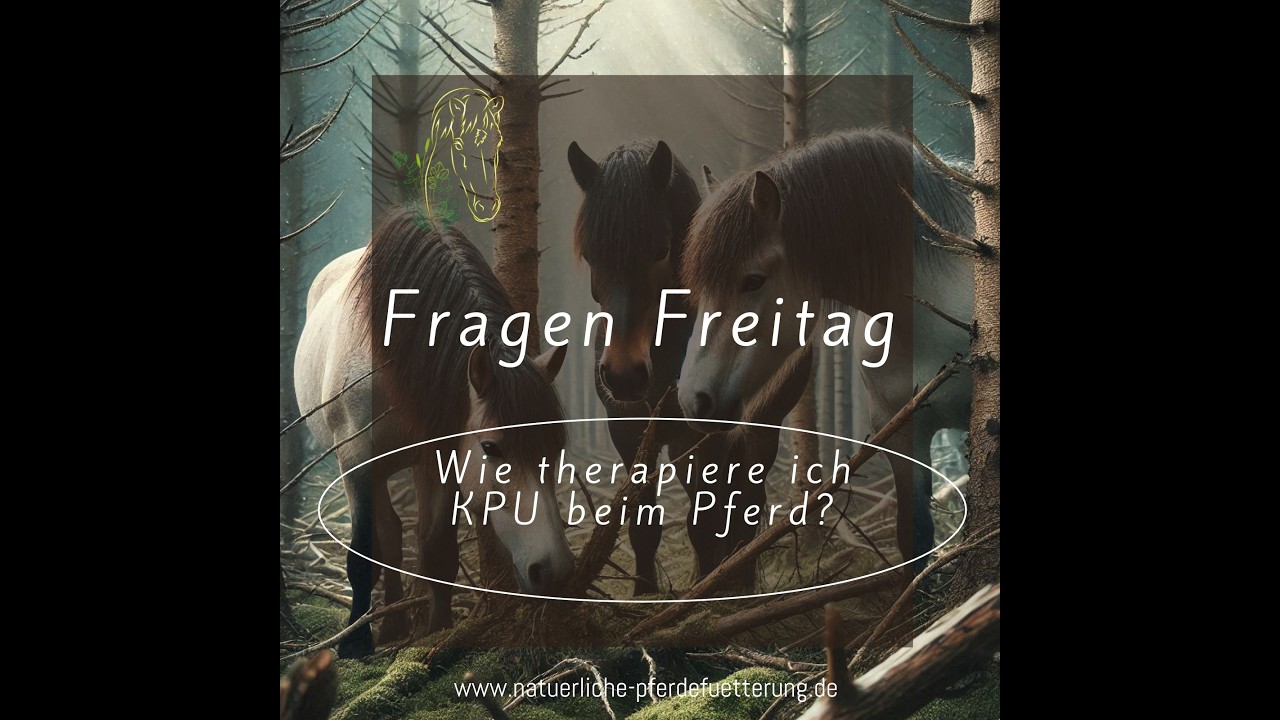 Fragen-Freitag: Wie therapiere ich KPU beim Pferd?