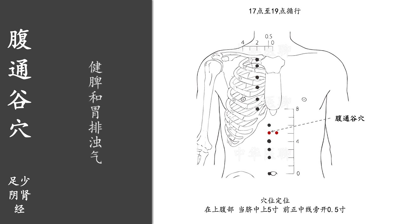 人体穴位208：腹通谷：健脾和胃排浊气，温和灸腹通谷穴10分钟，1天1次，可改善心痛、心悸 20220208.mp4
