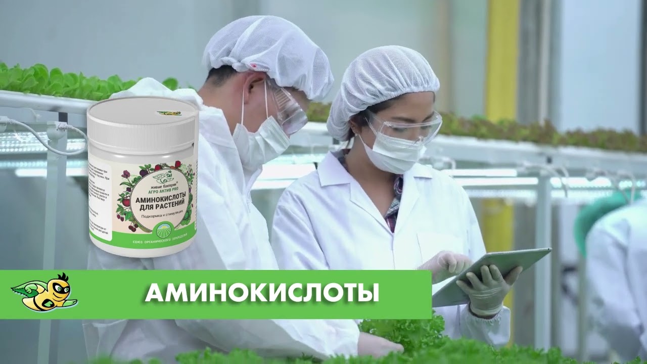Аминокислоты для растений