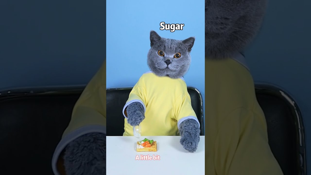 VENOM: A Good Cat Never Wastes Food!😮🤣 | Don't Waste Food  #funnycat #catsoftiktok #shorts