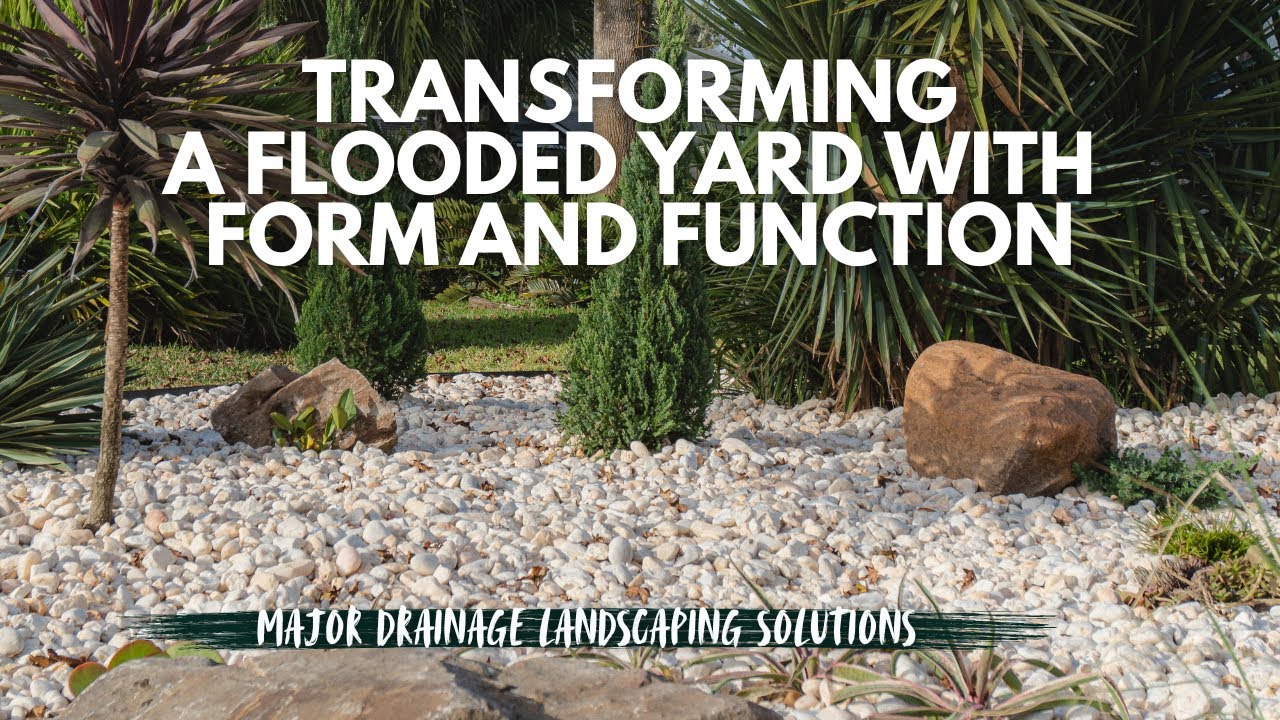 Transforming a Flooded Yard with Form and Function | EarthWorks Landscape