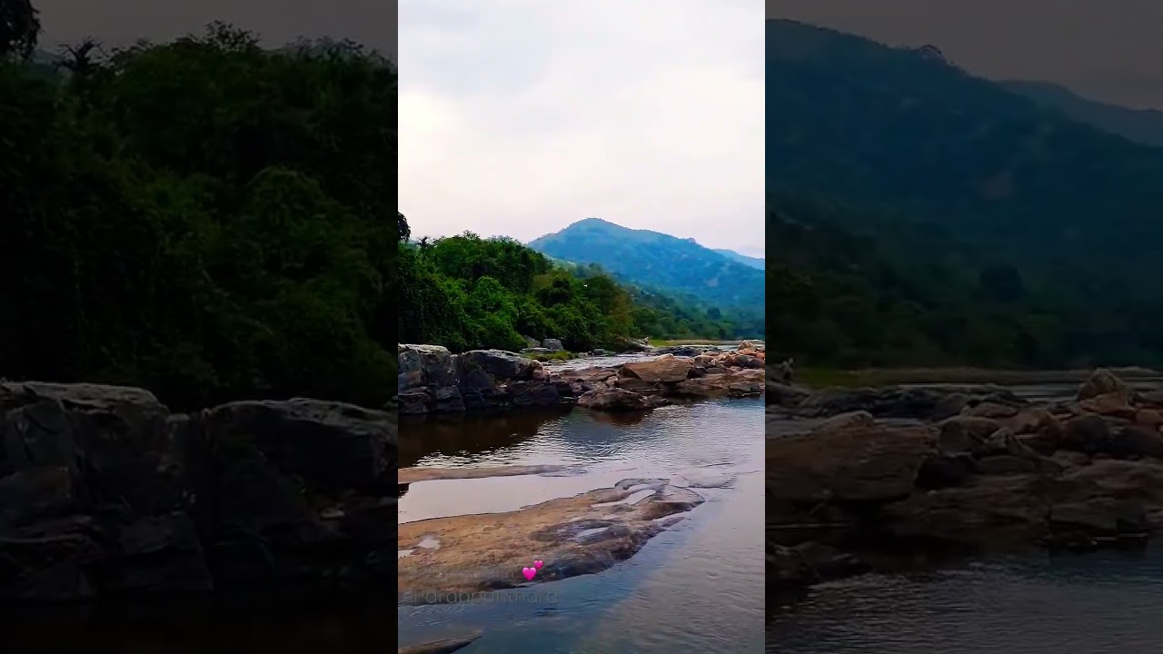 Amazing Attappadi 💕 #attappadi #travel #nature #tourism #kerala #wildlife