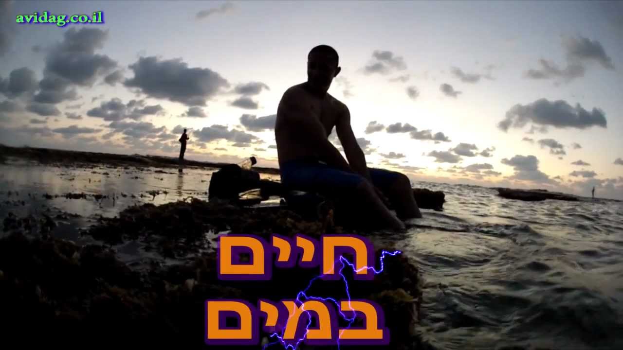 צלילה חופשית ים התיכון חיים במים אבידג