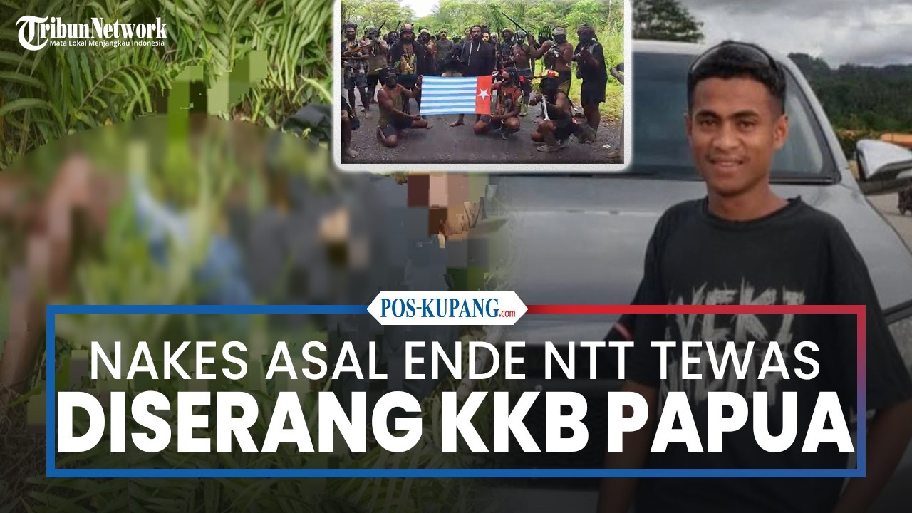Nakes Asal Ende NTT Tewas Diserang KKB di Papua Barat Daya