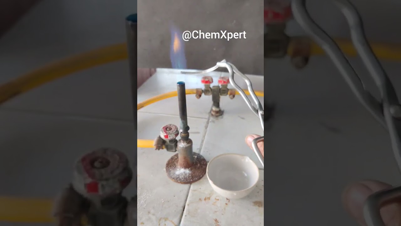 Activity 1.1 Heating of Magnesium Ribbon  #experiment #chemistry